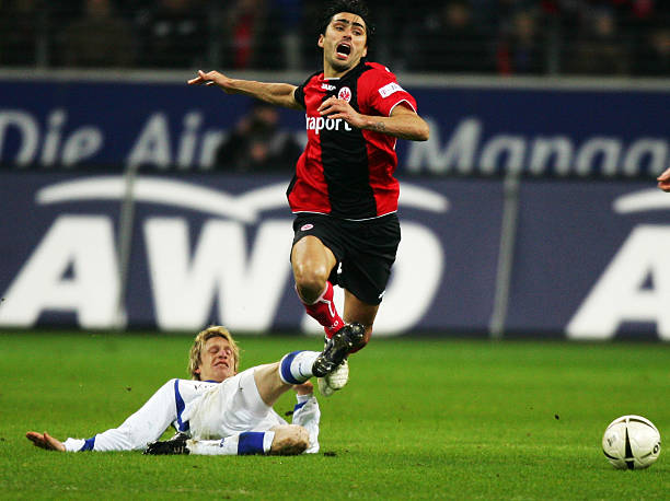 显示出它们 显示出它们